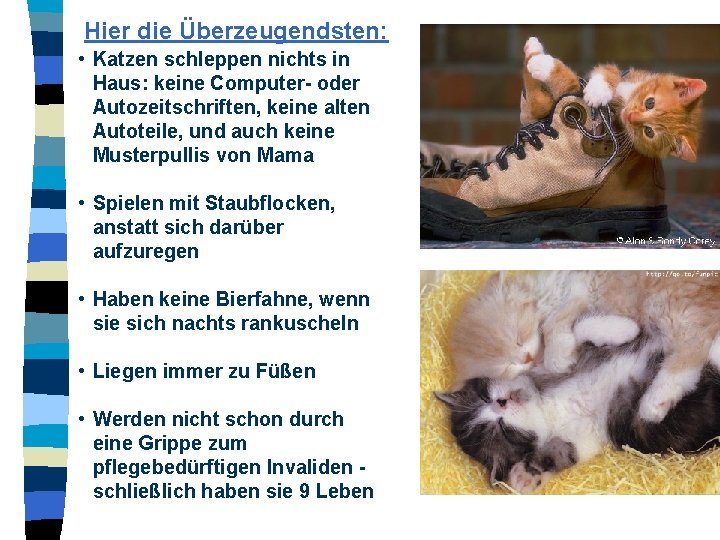 Hier die Überzeugendsten: • Katzen schleppen nichts in Haus: keine Computer- oder Autozeitschriften, keine