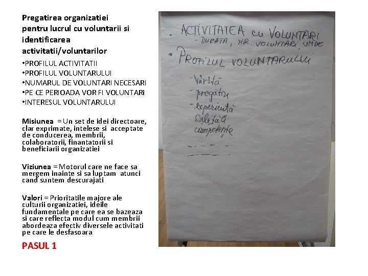 Pregatirea organizatiei pentru lucrul cu voluntarii si identificarea activitatii/voluntarilor • PROFILUL ACTIVITATII • PROFILUL