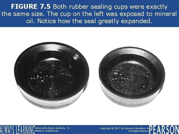 FIGURE 7. 5 Both rubber sealing cups were exactly the same size. The cup