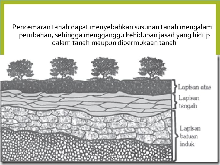 Pencemaran tanah dapat menyebabkan susunan tanah mengalami perubahan, sehingga mengganggu kehidupan jasad yang hidup