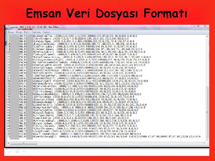 Emsan Veri Dosyası Formatı 