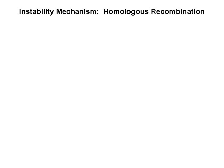 Genomic Architecture and Inheritance of Human Ribosomal RNA