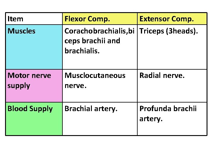 Item Muscles Flexor Comp. Extensor Comp. Corachobrachialis, bi Triceps (3 heads). ceps brachii and