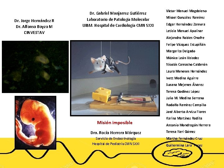 Dr. Jorge Hernández R Dr. Alfonso Boyzo M CINVESTAV Dr. Gabriel Manjarrez Gutiérrez Laboratorio