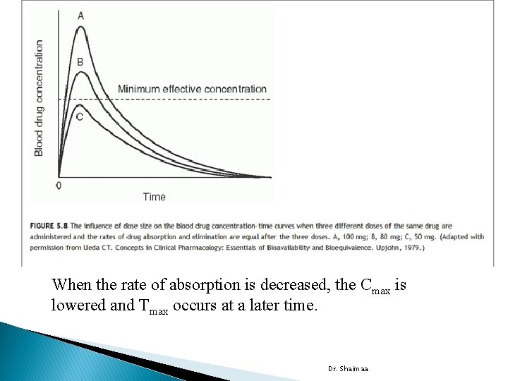 When the rate of absorption is decreased, the Cmax is lowered and Tmax occurs