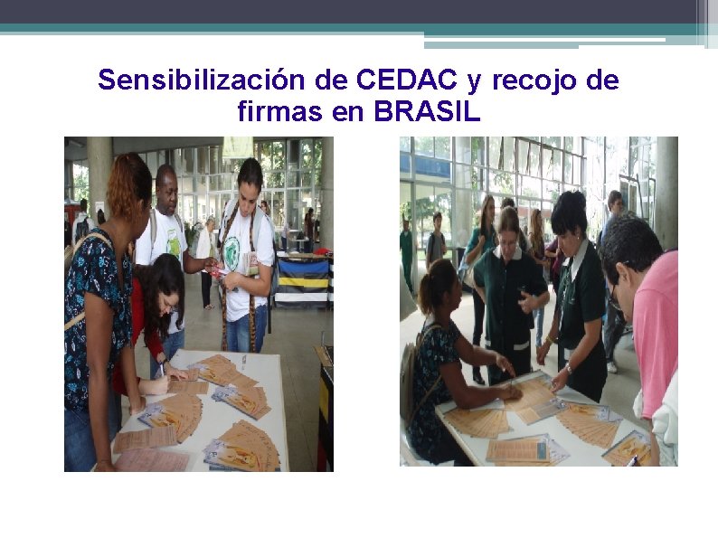 Sensibilización de CEDAC y recojo de firmas en BRASIL 