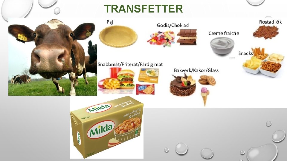 TRANSFETTER 