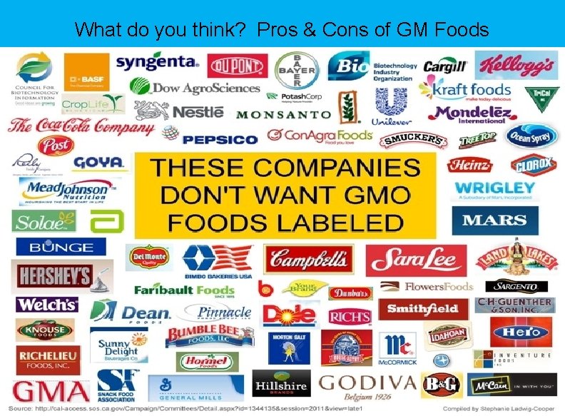 What do you think? Pros & Cons of GM Foods 