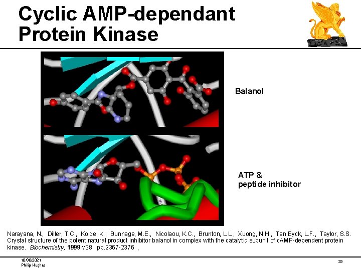 Cyclic AMP-dependant Protein Kinase Balanol ATP & peptide inhibitor Narayana, N. , Diller, T.