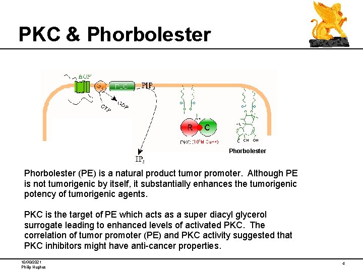 PKC & Phorbolester (PE) is a natural product tumor promoter. Although PE is not