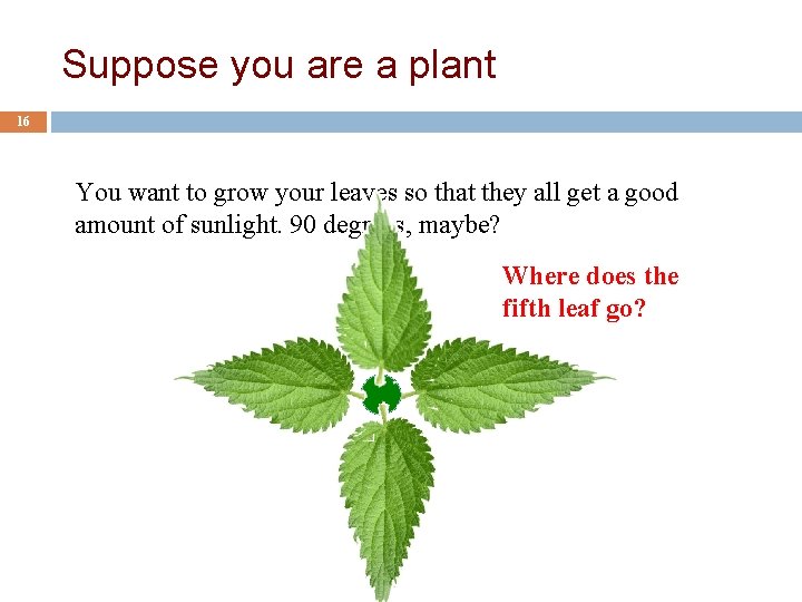 Suppose you are a plant 16 You want to grow your leaves so that