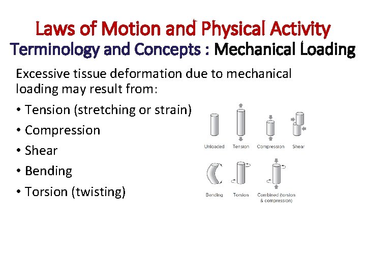 Laws of Motion and Physical Activity Terminology and Concepts : Mechanical Loading Excessive tissue