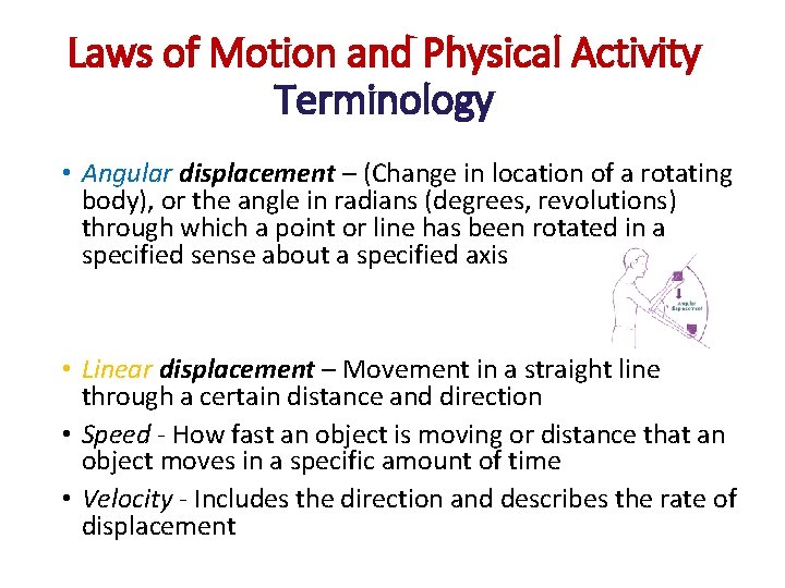 Laws of Motion and Physical Activity Terminology • Angular displacement – (Change in location