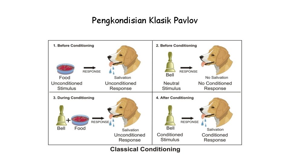 Pengkondisian Klasik Pavlov Pengkondisian Klasik Pavlov