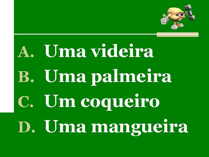 A. Uma videira B. Uma palmeira C. Um coqueiro D. Uma mangueira 