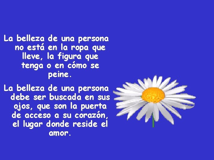 La belleza de una persona no está en la ropa que lleve, la figura