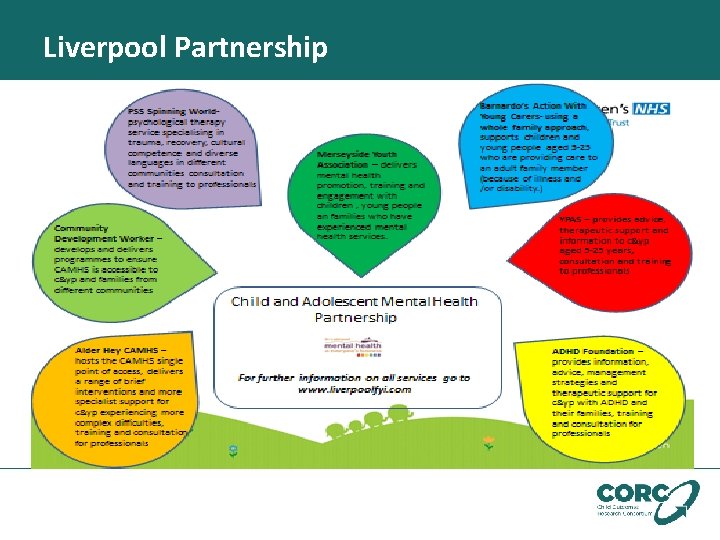 Liverpool Partnership 