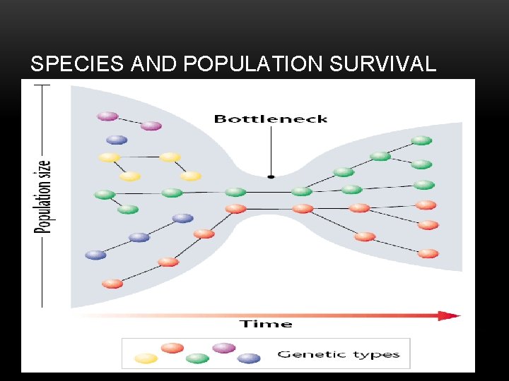 SPECIES AND POPULATION SURVIVAL 