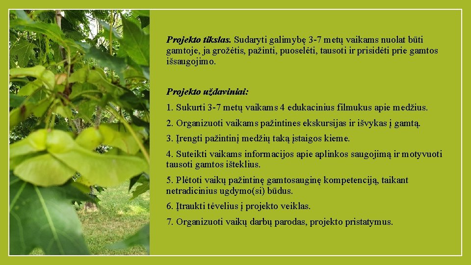 Projekto tikslas. Sudaryti galimybę 3 -7 metų vaikams nuolat būti gamtoje, ja grožėtis, pažinti,
