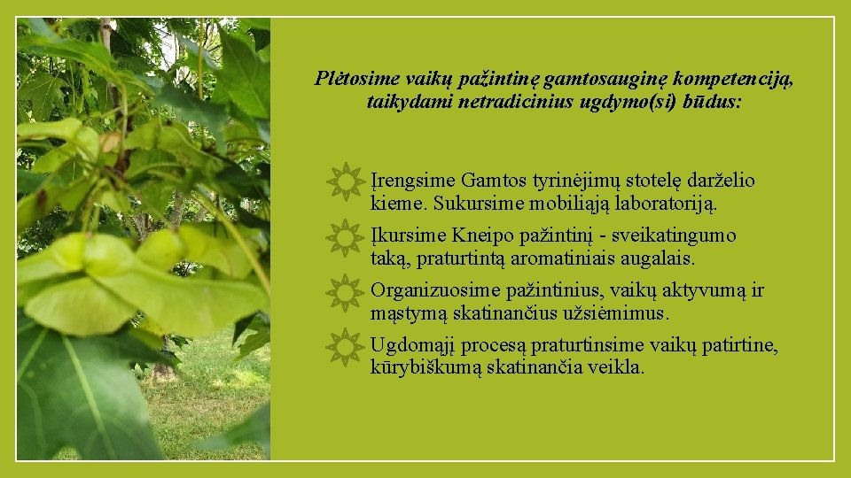 Plėtosime vaikų pažintinę gamtosauginę kompetenciją, taikydami netradicinius ugdymo(si) būdus: Įrengsime Gamtos tyrinėjimų stotelę darželio