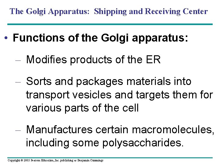 The Golgi Apparatus: Shipping and Receiving Center • Functions of the Golgi apparatus: –