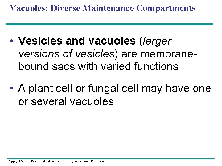 Vacuoles: Diverse Maintenance Compartments • Vesicles and vacuoles (larger versions of vesicles) are membranebound
