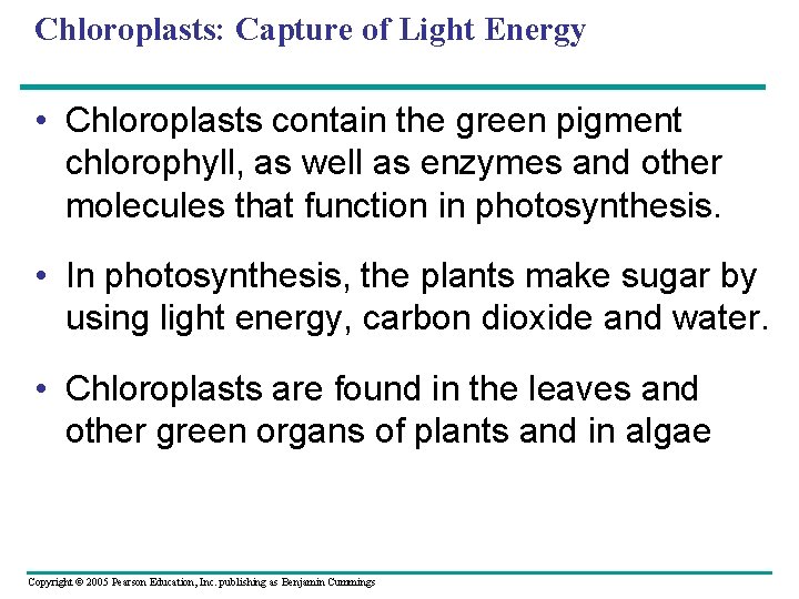 Chloroplasts: Capture of Light Energy • Chloroplasts contain the green pigment chlorophyll, as well
