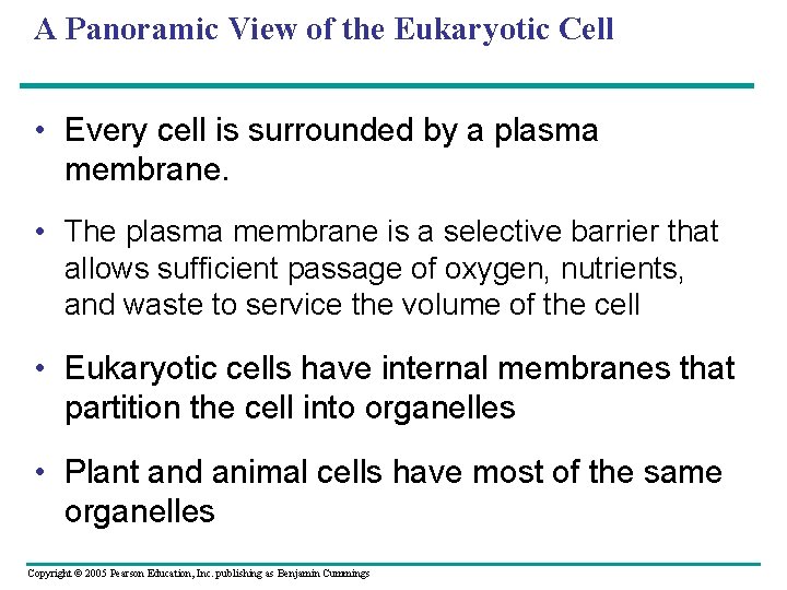 A Panoramic View of the Eukaryotic Cell • Every cell is surrounded by a