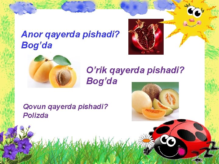 Anor qayerda pishadi? Bog’da O’rik qayerda pishadi? Bog’da Qovun qayerda pishadi? Polizda 