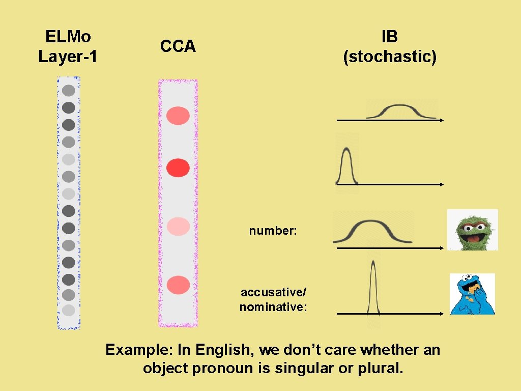 ELMo Layer-1 IB (stochastic) CCA number: accusative/ nominative: Example: In English, we don’t care