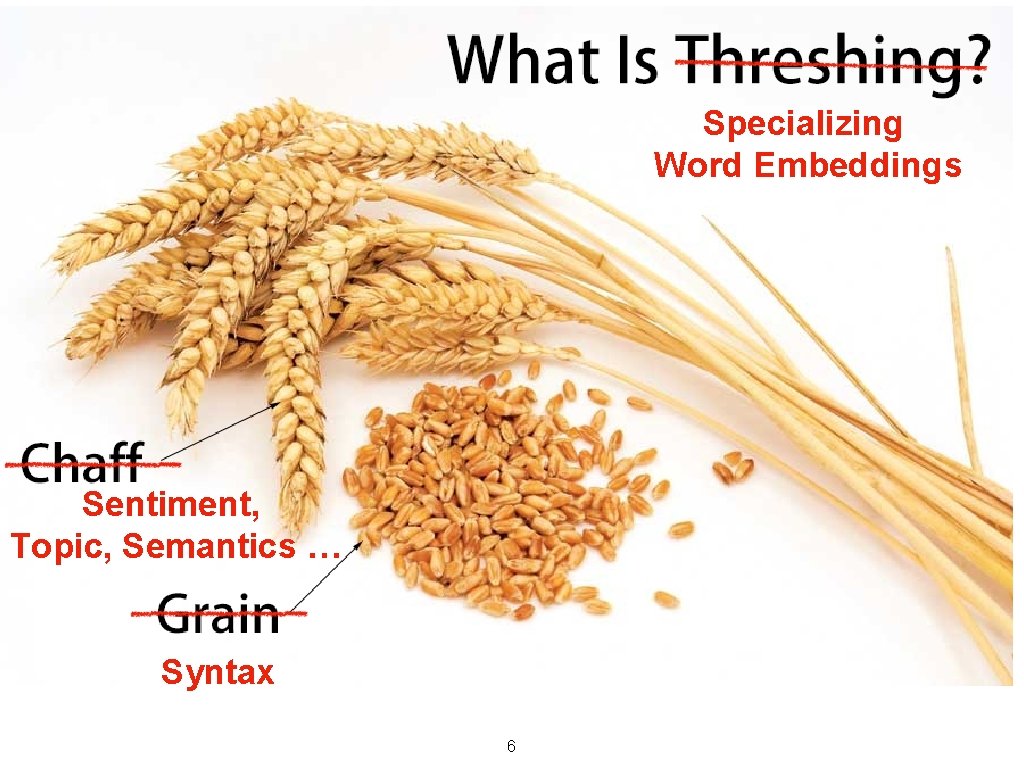 Specializing Word Embeddings Sentiment, Topic, Semantics … Syntax 6 