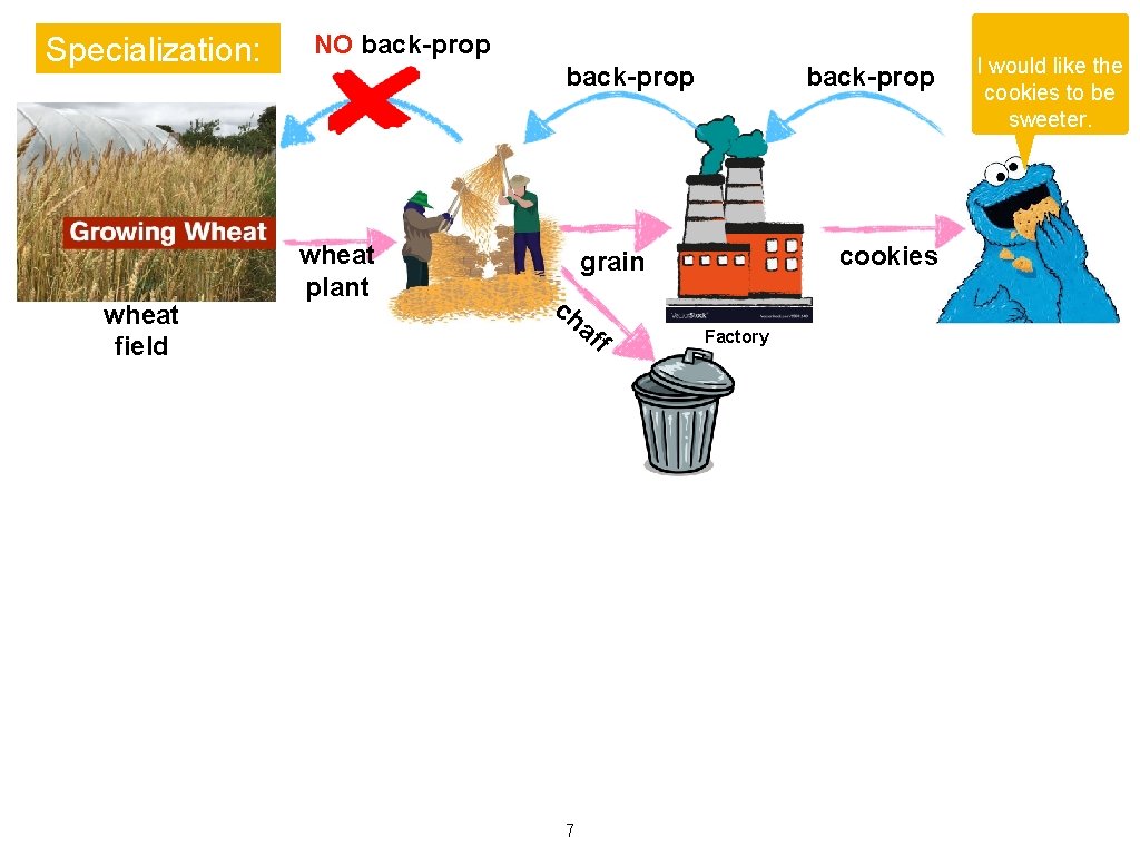 Specialization: wheat field NO back-prop wheat plant back-prop cookies grain ch af 7 f