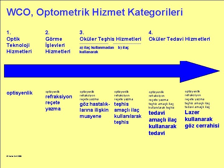 WCO, Optometrik Hizmet Kategorileri 1. Optik Teknoloji Hizmetleri 2. Görme İşlevleri Hizmetleri 3. Oküler