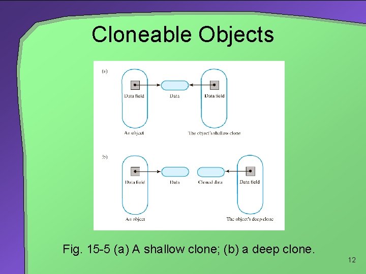 Cloneable Objects Fig. 15 -5 (a) A shallow clone; (b) a deep clone. 12