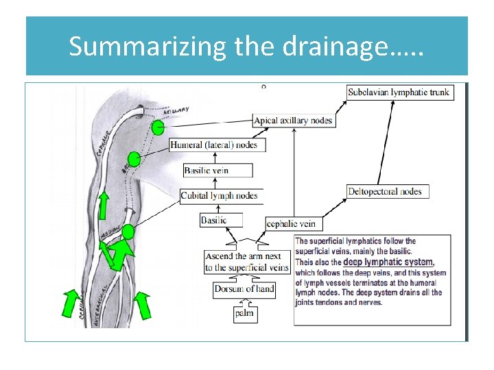 Summarizing the drainage…. . 