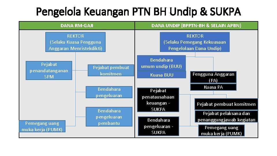 Pengelola Keuangan PTN BH Undip & SUKPA DANA RM-GAJI DANA UNDIP (BPPTN-BH & SELAIN