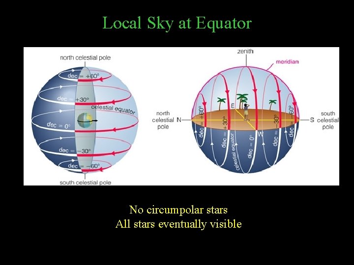 Local Sky at Equator No circumpolar stars All stars eventually visible 