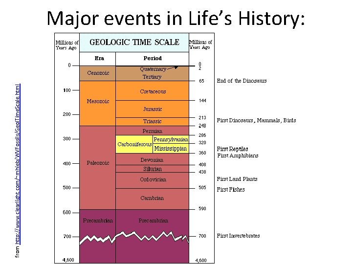 from http: //www. clearlight. com/~mhieb/WVFossils/Geol. Time. Scale. html Major events in Life’s History: 