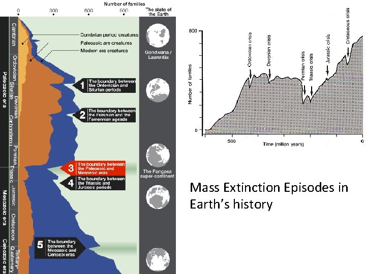 Mass Extinction Episodes in Earth’s history 