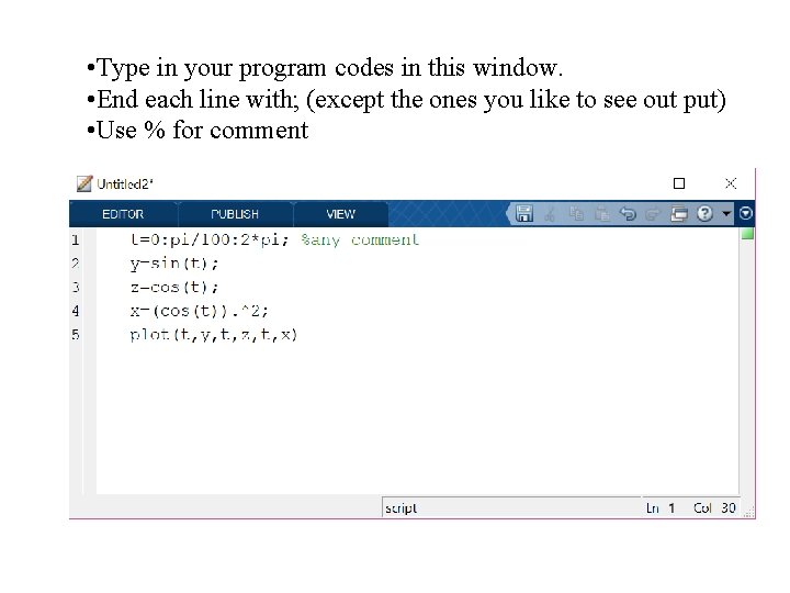  • Type in your program codes in this window. • End each line