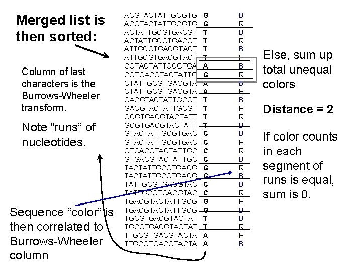 Merged list is then sorted: Column of last characters is the Burrows-Wheeler transform. Note Merged list is then sorted: Column of last characters is the Burrows-Wheeler transform. Note