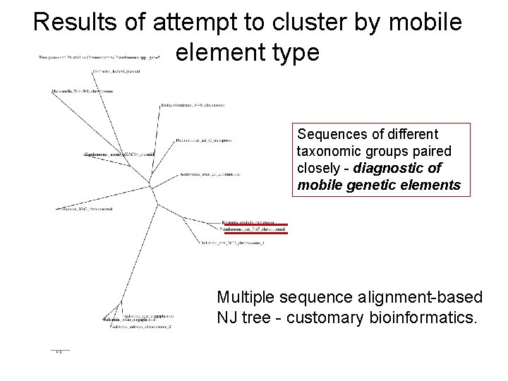 Results of attempt to cluster by mobile element type Sequences of different taxonomic groups Results of attempt to cluster by mobile element type Sequences of different taxonomic groups