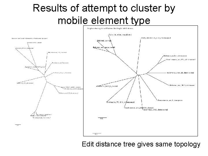 Results of attempt to cluster by mobile element type Edit distance tree gives same Results of attempt to cluster by mobile element type Edit distance tree gives same