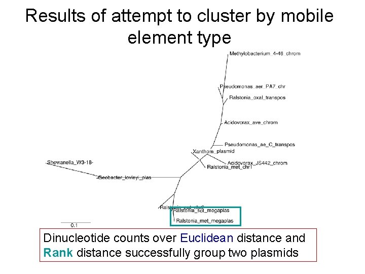 Results of attempt to cluster by mobile element type Dinucleotide counts over Euclidean distance Results of attempt to cluster by mobile element type Dinucleotide counts over Euclidean distance