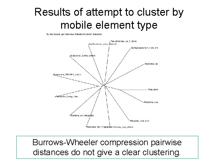 Results of attempt to cluster by mobile element type Burrows-Wheeler compression pairwise distances do Results of attempt to cluster by mobile element type Burrows-Wheeler compression pairwise distances do