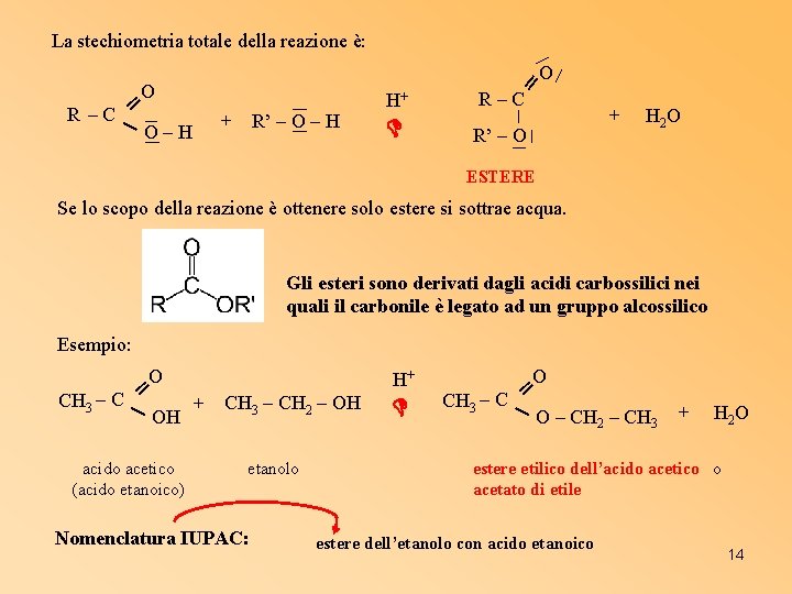 La stechiometria totale della reazione è: ═ O ═ R –C O–H O +