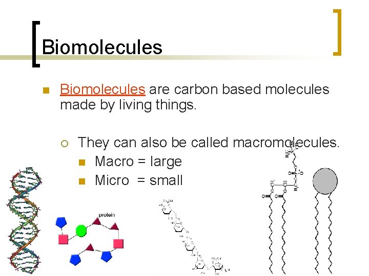 Biomolecules n Biomolecules are carbon based molecules made by living things. ¡ They can