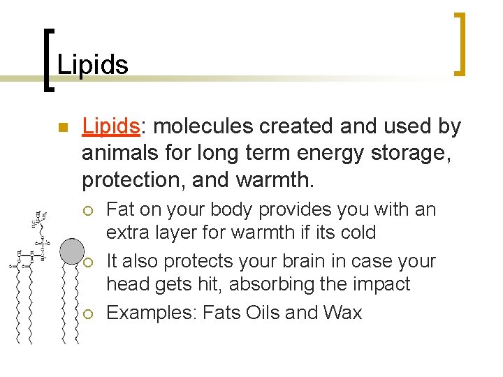 Lipids n Lipids: molecules created and used by animals for long term energy storage,