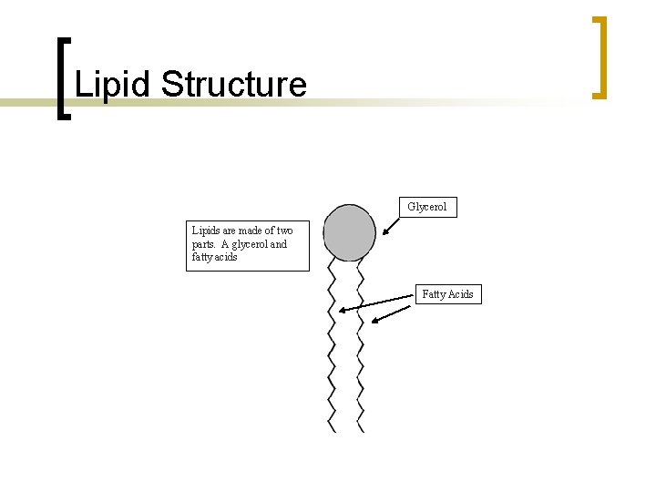 Lipid Structure Glycerol Lipids are made of two parts. A glycerol and fatty acids