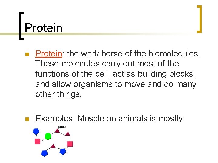 Protein n Protein: the work horse of the biomolecules. These molecules carry out most